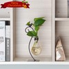 Marbrasse Desktop Glass Planter Hydroponics Vase,Planter Bulb Vase with Holder