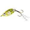 RUDIE'S Fish Roe Metal ~ Hirari ~ (Chart Spot Glow,