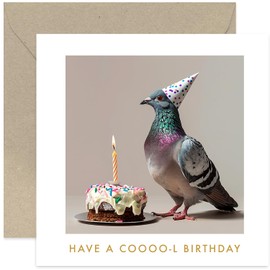 Fun Pigeon Birthday Card for Men - Cooool Birthday Card - Hilarious Humorous Birthday Greeting Card Joke for Him or Her - Simple and contemporary Birthday Card for Family and Friends