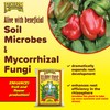 FoxFarm Happy Frog Soil Conditioner, 1.5cu ft - Contains Mycorrhizae
