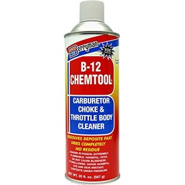 Berryman B-12 Carburetor, Choke and Throttle Body Cleaner – 20 oz (Pack of 1)