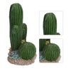 Simulation Resin Cactus Ornament Stable Aquarium Cactus Decoration with Succulents