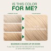 Naturigin Hair Colour - Extreme Blonde - 1 Count