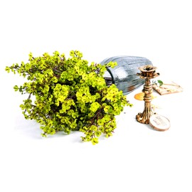 JAKY-Global Babys Breath Fabric Cloth Artificial Flowers 6 Bundle European Fake Silk Plants Decor Wedding Party Decoration Bouquets Real Touch DIY Home Garden (Grass Green)