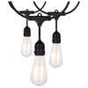 Satco S8036 LED Indoor/Outdoor String Lights, Black, ST19 Bulbs, 24