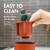 Boon Cacti Bottle Cleaning Brush Set, Terracotta , 4 Piece