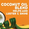 OGX Locking + Coconut Curls Air Dry Cream, No Parabens,