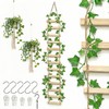 XJlSGXUSG Wooden Plant Ladder Trellis, 71 Inch Wall Hanging