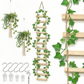 XJlSGXUSG Wooden Plant Ladder Trellis, 71 Inch Wall Hanging