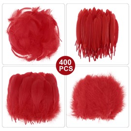 MWOOT 4 Styles Assorted Crafts Feathers (Red)