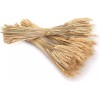 yarlung 300 Stems 16 Inch Dried Wheat Sheaves, Natural Wheat