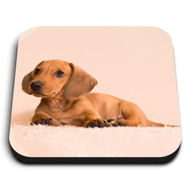 1 x quadratischer Kühlschrankmagnet aus MDF, Dackel, Welpen, Wurst, Hund 15583