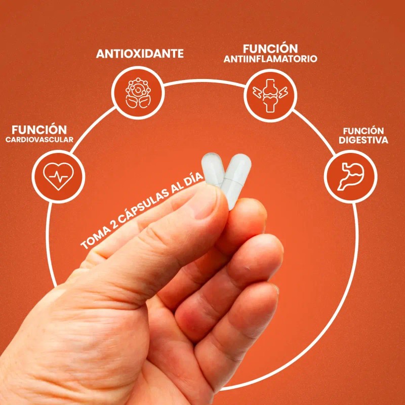 Cúrcuma Jengibre 180 Cápsulas Nuboost Sabor