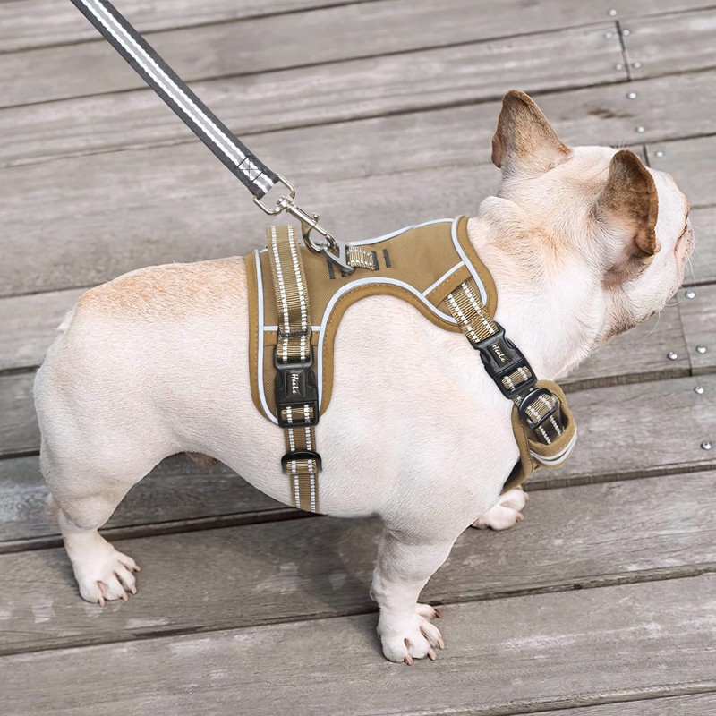 HEELE Dog Harness, Dog Harness for Small Dogs, Release on