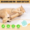 Catnip Toy, 4Pack Silvervine Sticks for Cats,Cat&Kitten Chew Toy for