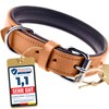 Schnüffelfreunde Leather Dog Collar