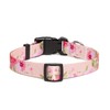 Suredoo Adjustable Nylon Dog Collar with Patterns, Soft Comfy Pet