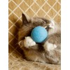CattyMan Cat Cat Ball Play Karafuru
