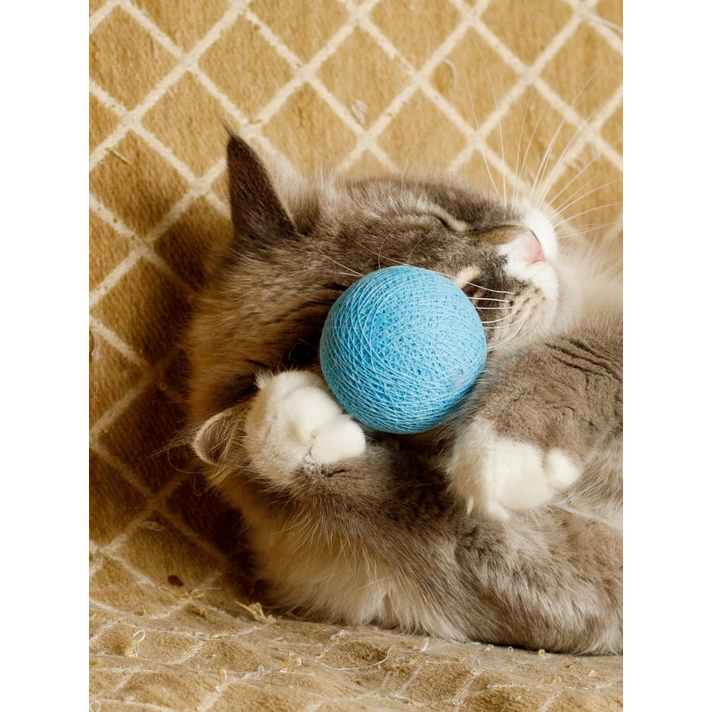 CattyMan Cat Cat Ball Play Karafuru