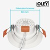 Oley Leuchten® NUVA LED Recessed Spotlight, 230 V, Flat Spotlight,