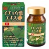 Ribet Corporation Ginkgo Leaf Extract Plus 30 Day Supply DHA