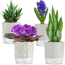 XKYQSY 4 Pack 5.5 inch Self Watering Pots Planters, African Violets Pots for Indoor Outdoor Plants with Deep Reservior & Drainage Holes, Modern Houseplants Pots for Flowers,Herbs,Cactus,Succulents