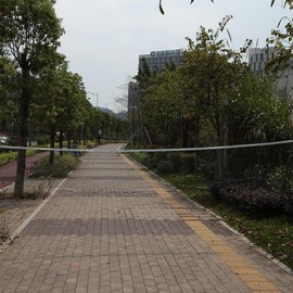 Portable Adjustable Badminton Net, Durable Volleyball Badminton Net for Outdoor Sports Entertainment Training (Green)