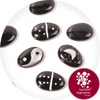 Specialist Aggregates ® - 25 Small Black, Flat Glass Pebbles/Nuggets/Stones.