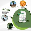 fairvital Boswellia Carterii 400 mg, 120 Vegan Tablets, African Frankincense