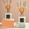 Cocorrína Premium Reed Diffuser Set with Preserved Baby's Breath &