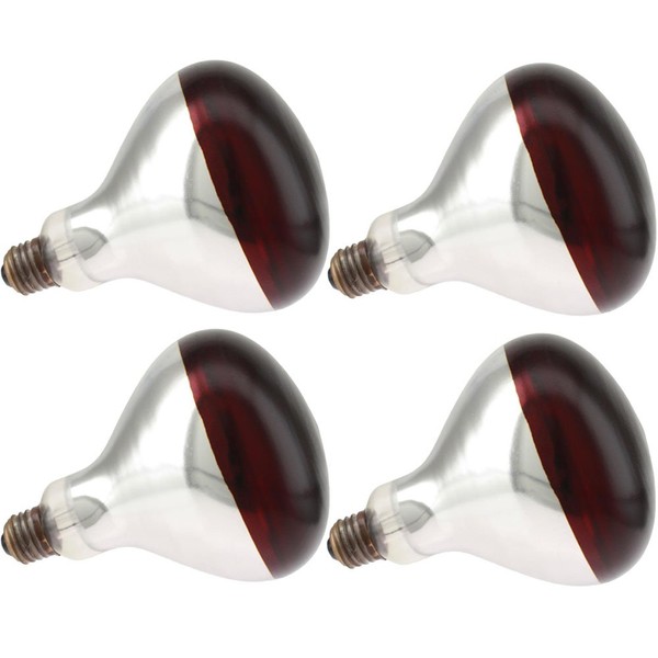 Havells (SLI) 250R40/10/TF, 250 Watt, BR40 Glass Size, Medium Screw (E26) Base, Infrared Tuffcoat Red Light Bulb (4 Bulbs)