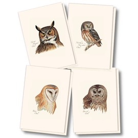 Earth Sky + Water - Peterson's Owl Assortment Notecard Set - 8 Blank Cards with Envelopes (2 each of 4 styles)