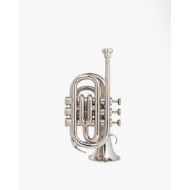 QUEENBRASS Pocket Trumpet in Bb Pitch – Chrome Finish Brass Instrument with Mouthpiece & Case | Compact Design for Students, Beginners & Professionals