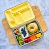 EcoCocoon Bento Lunch Boxes - 5 Compartment, Emerald Green