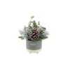 Flora Bunda Xmas Mix in Believe Ceramic Footed Pot Off-White