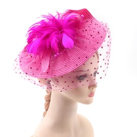 DRESHOW Fascinators Hat Flower Mesh Feathers with a Headband and a Clip Tea Party Headwear for Girls and Women