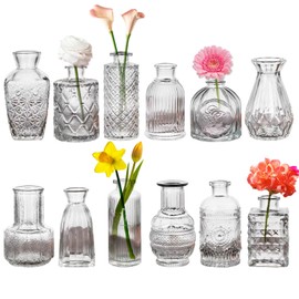 Glass Bud Vases Set of 12, Small Clear Vases for Centerpieces, Mini Glass Vases in Bulk, Vintage Vases Assorted Tiny Flower Vase for Baby Shower Wedding Floral Arrangements Home Table Decorations