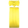 TigerTie Cummerbund Pocket Square Bow Tie in Various Colours -