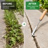 Manual Weeding Sickle for Garden & Crack Cleaning – Heavy-Duty