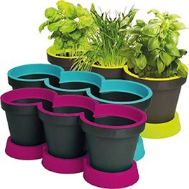 3 Herb Planter Flower Pot with Saucer New