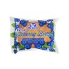 Ne-Mo's Bakery Blueberry Bread - 12 Pack
