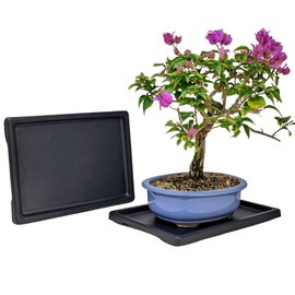 Tinyroots Bonsai Humidity Tray, 9-Inch Drip Tray, Maintains Moisture for Plants and Protects Furniture, Ideal for Cactus, Succulents, Bonsai, and Houseplants