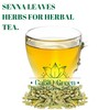 Natural Senna Leaves Hoja Sen Dried Herbal Leaves, Senna Raw
