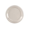 Creative Converting Touch of Color 20 Count Plastic Banquet Plates,