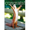 Woodmansterne Congratulations Card - Squirrel (0277)