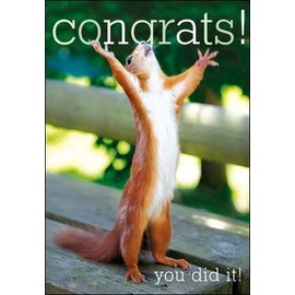 Woodmansterne Congratulations Card - Squirrel (0277)