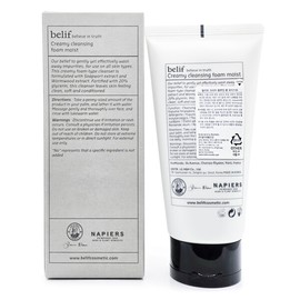 Belif Creamy Cleansing Foam Moist 160ml / 빌리프 크리미 클렌징 폼 모이스트 160ml