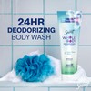 Secret Feminine Wash, 24 HR Deodorizing Feminine Body Wash for
