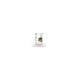 Muryo Baesong Home And Kitchen Product 350g for daily use and gifting, practical imported Korean Muryo Baesong Import, Home and Use, Everyday Use, Travel, Home or Gift