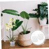 BESPORTBLE 2sets Transparent Orchid Pots with Drainage and Saucers Breathable